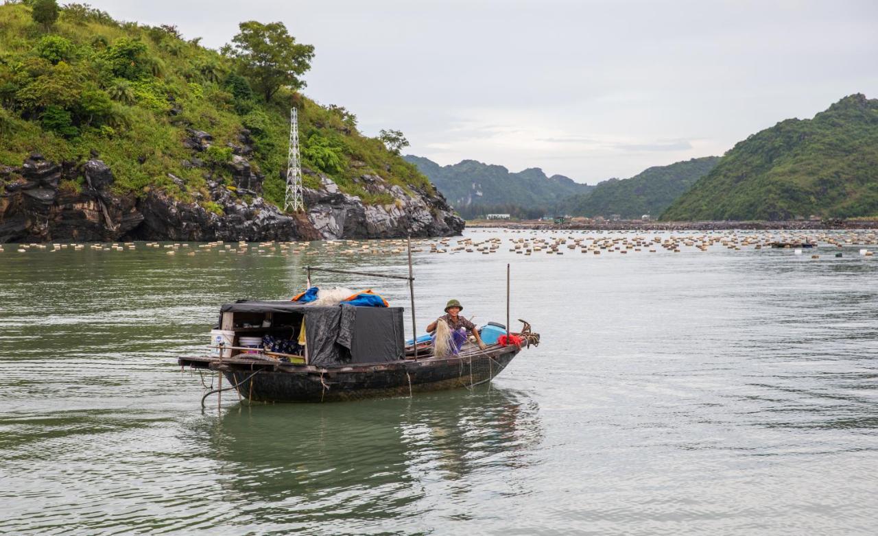 Cat Ong Island Retreat - Catbabay 吉婆岛 外观 照片